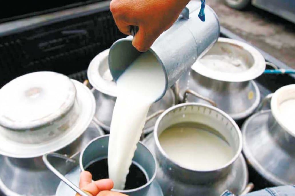 दूध उत्पादनको केन्द्र बनाउँदै बागमती प्रदेश